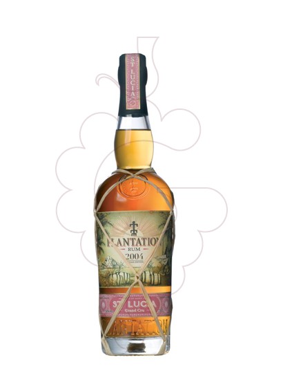 Photo Rum Plantation St Lucia