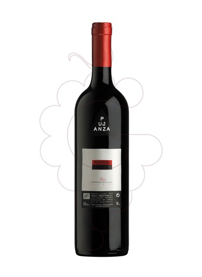 Photo Pujanza Magnum 2005 red wine