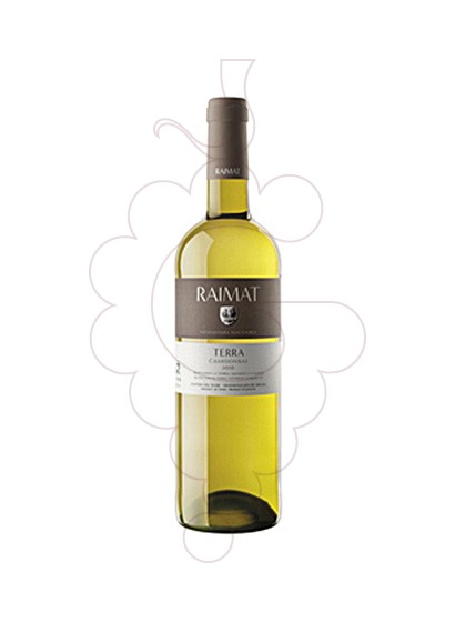 Photo Raimat Terra Chardonay white wine
