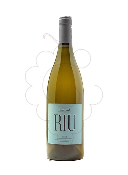 Photo White Riu white wine