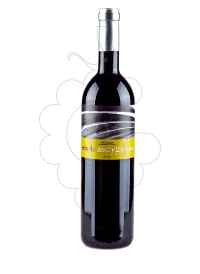 Photo Seis de Azul y Garanza red wine