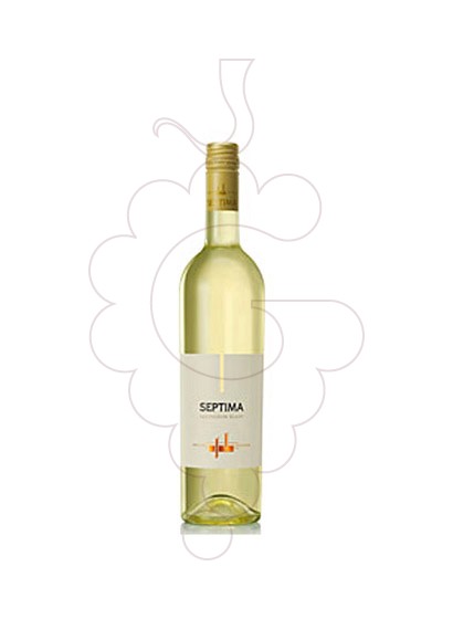 Photo Septima Sauvignon Blanc white wine