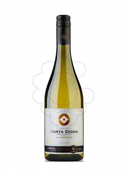 Photo Sta. Digna Chardonnay white wine