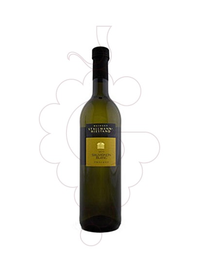 Photo Stallmann Hiestand Sauvignon Blanc white wine