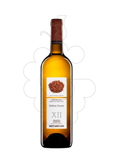 Photo Agustí Torelló Subirat Parent white wine