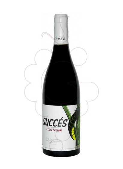 Photo Succés La Cuca de Llum red wine
