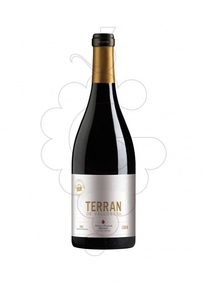 Photo Terran de Vallobera red wine