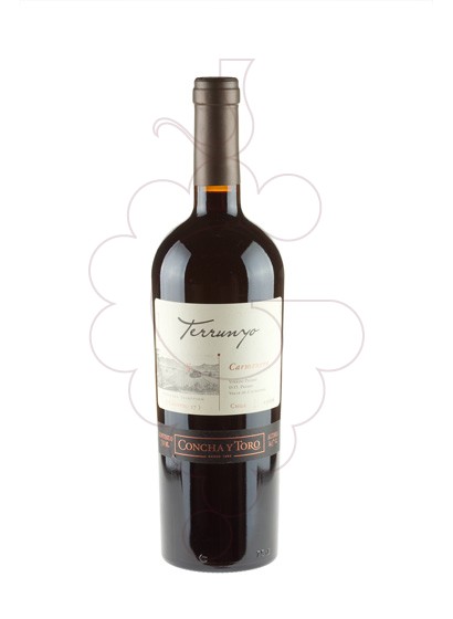 Photo Terrunyo Carmenere red wine