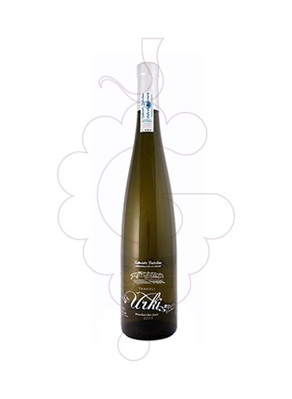 Photo Txakoli Urki white wine