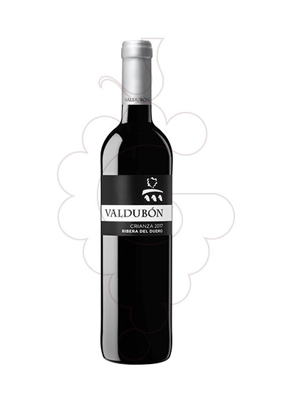 Photo Valdubon Crianza red wine