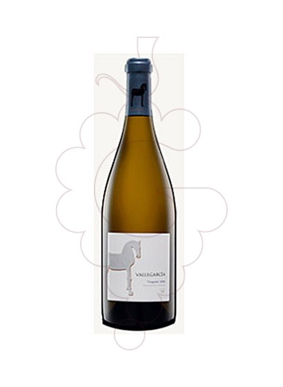 Photo Vallegarcia Viognier Magnum white wine