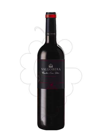 Photo Vallobera Maceración Carbónica red wine