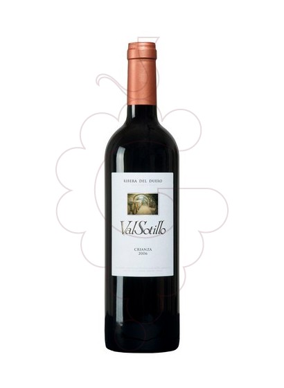 Photo Valsotillo Crianza red wine