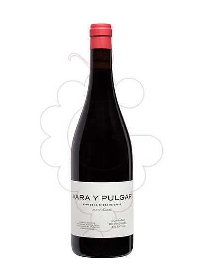 Photo Vara y Pulgar red wine