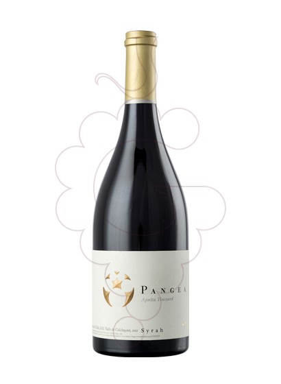 Photo Ventisquero Pangea Syrah red wine