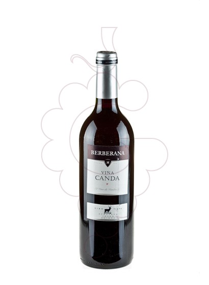 Photo Viña Canda Negre red wine