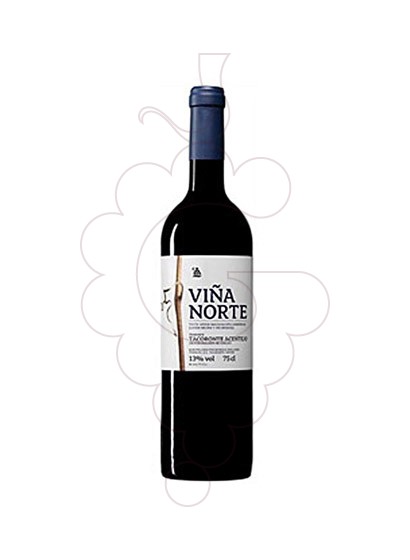 Photo Viña Norte Maceración Carbónica red wine