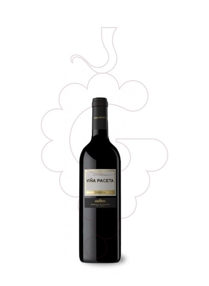 Photo Viña Paceta Crianza (mini) red wine