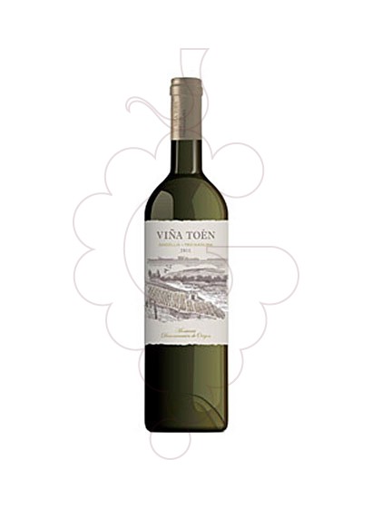 Photo Viña Toén white wine