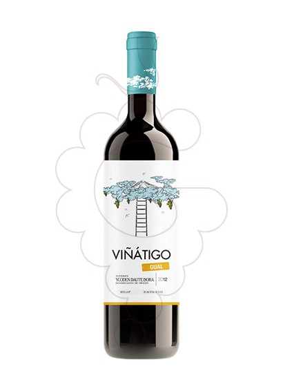 Photo Viñatigo Gual white wine