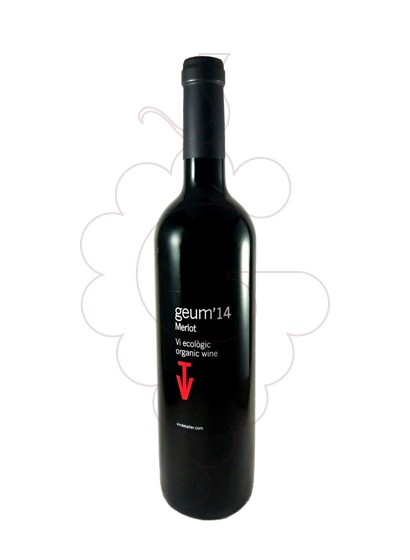 Photo Vins de Taller Geum red wine