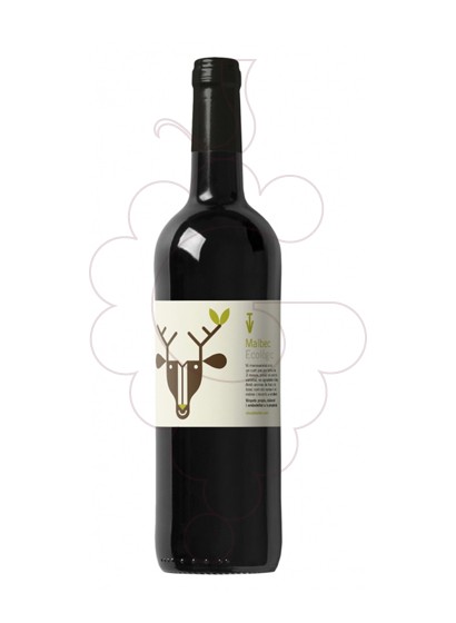 Photo Vins de Taller Cervus red wine