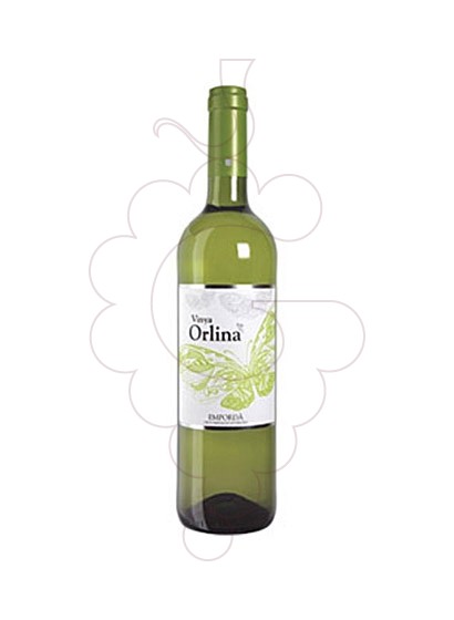 Photo Vinya Orlina Blanc white wine