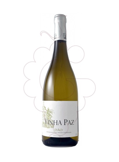 Photo White Vinha Paz white wine