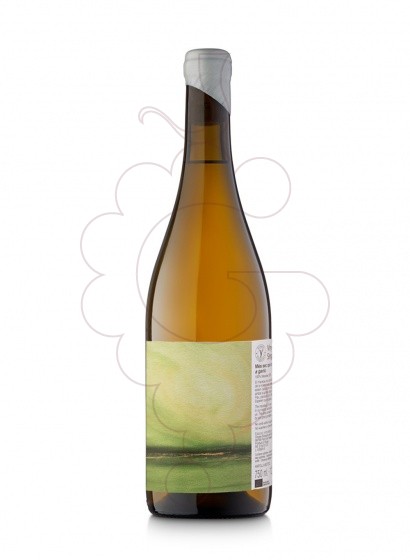 Photo Vinyes Singulars Macabeu white wine