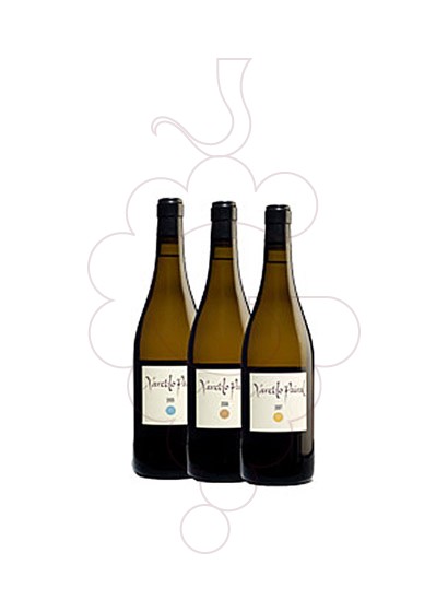 Photo Xarel.lo Pairal 3 amp Cata Vertical 05-06-07 white wine