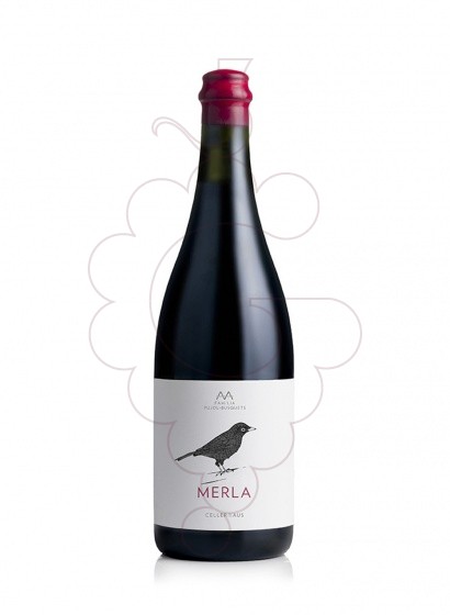 Photo AA Merla  red wine