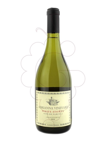 Wines whites variety Chardonnay | Buy in