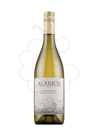 Photo Alamos Chardonnay white wine