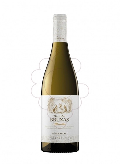 Photo Albariño pazo das bruxas magnu white wine