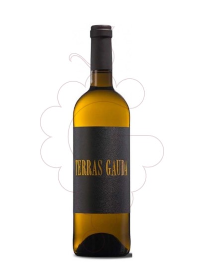 Photo Albariño Terras Gauda Black Label white wine
