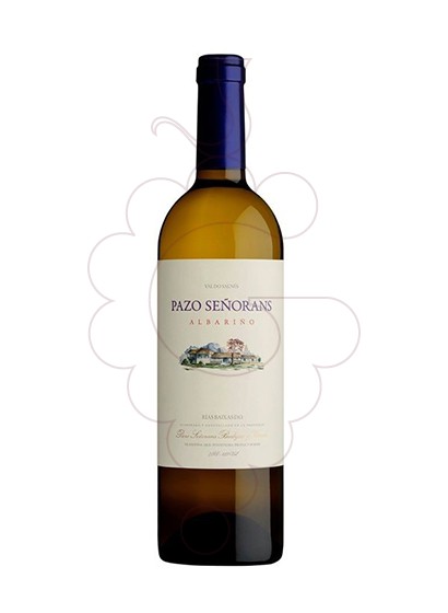 Photo Albariño Pazo Señorans Magnum white wine