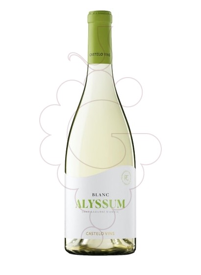 Photo Alyssum white wine