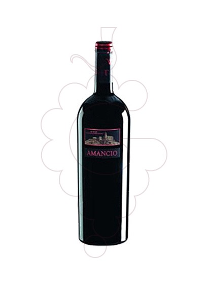 Photo Amancio Magnum red wine