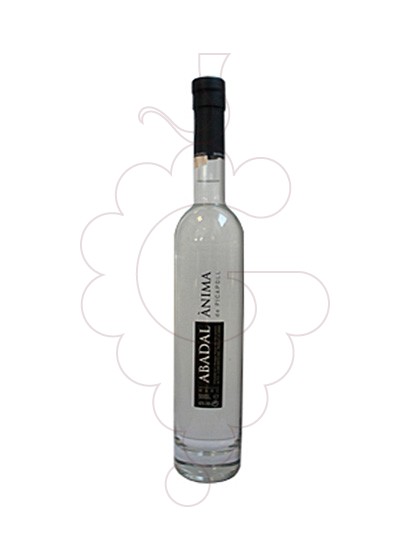 Photo Aguardiente Ànima de Picapoll Abadal