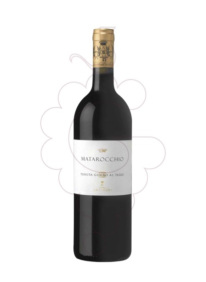 Photo Guado al Tasso Matarocchio red wine