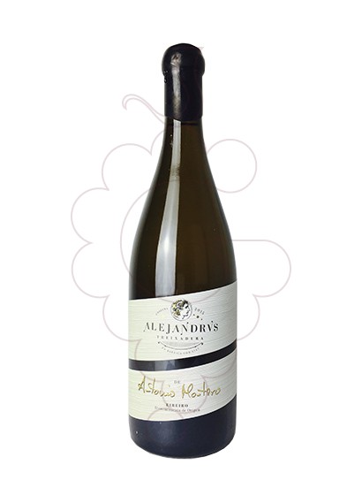 Wines whites Crianza | Buy in