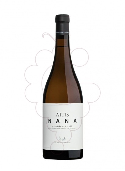 Photo Attis Albariño Nana white wine