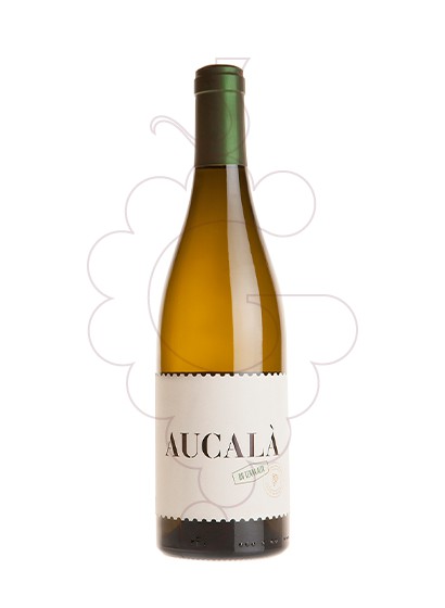 Photo Aucalà white wine