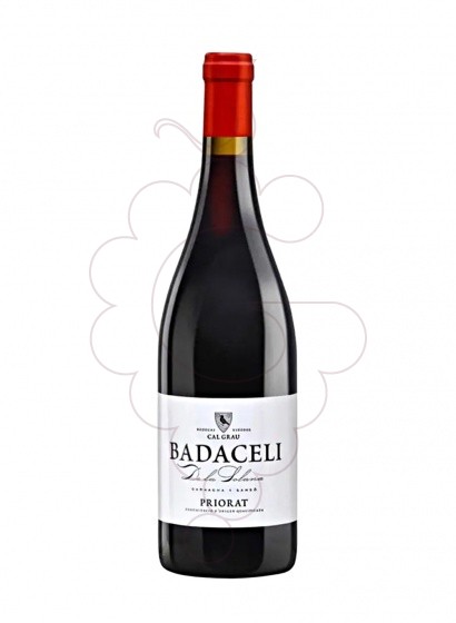 Photo Badaceli Magnum red wine