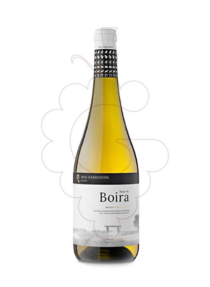 Photo Blanc de Boira white wine