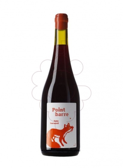Photo Bornard Ploussard Point Barre "Les Chambines" Magnum red wine