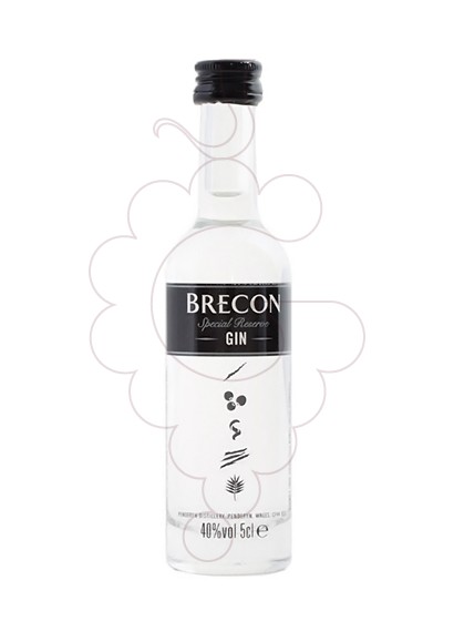 Photo Gin Brecon (mini)