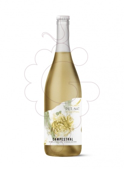 Photo White Campestral Pet-Nat sparkling wine