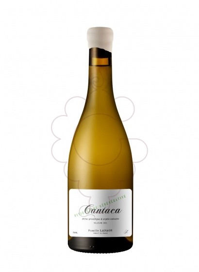 Photo Cantaca blanc 75 cl white wine