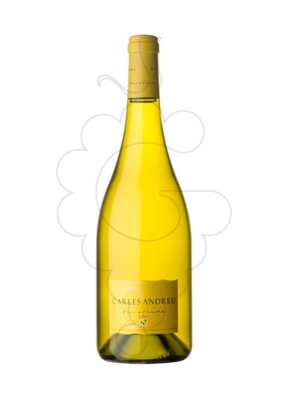 Photo Carles Andreu Parellada white wine